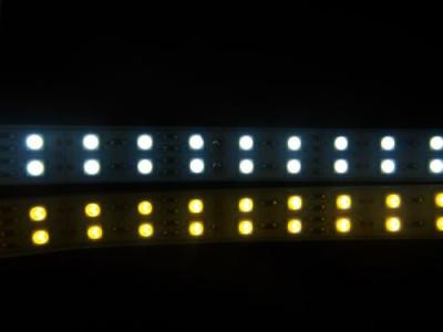 Лента светодиодная SMD 5050, 120 д/м, в два ряда, в силиконовой трубе, теплый белый (5м.) 28,8 Вт/метр